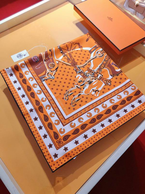 Hermes silk scarf 90X90cm E06 (17)